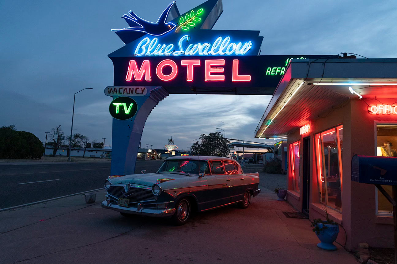 Blue Swallow Motel by Geraldine Gill